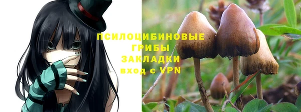 гидра Майский