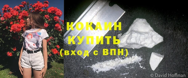 гидра Майский