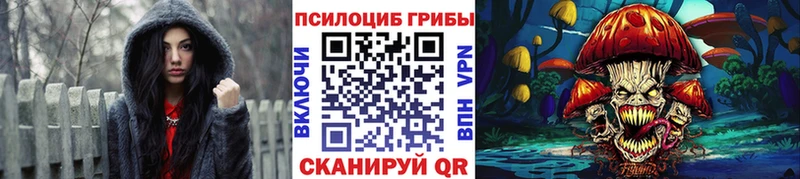 что такое   Алапаевск  Галлюциногенные грибы Psilocybine cubensis 