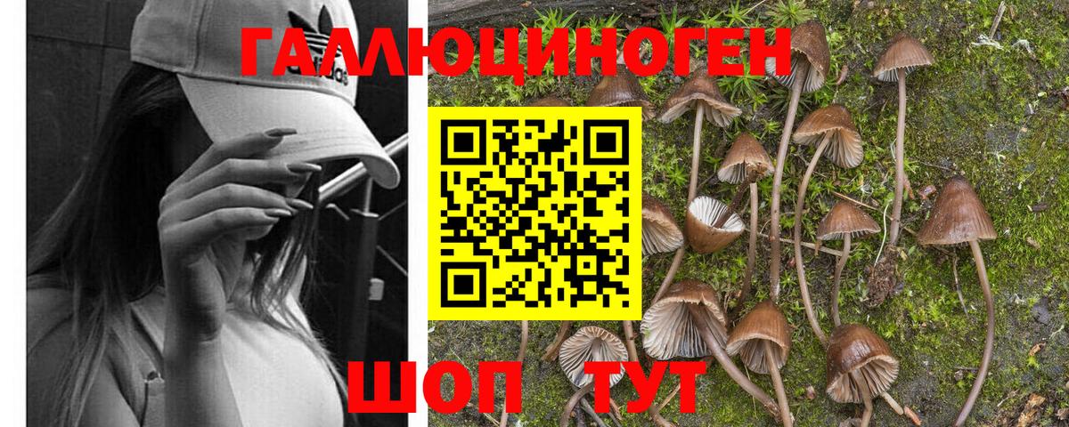 Алапаевск  где купить наркоту  Вход с VPN  Псилоцибиновые грибы ЛСД 