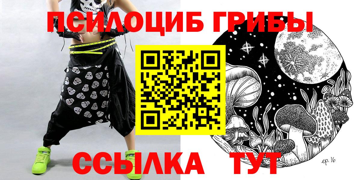 Галлюциногенные грибы Psilocybine cubensis Алапаевск