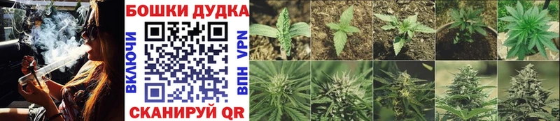 ОМГ ОМГ зеркало  Алапаевск  Канабис AK-47  дарнет шоп 
